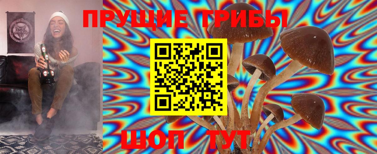 Псилоцибиновые грибы Magic Shrooms  Галлюциногенные грибы Psilocybe  Сочи  Вход с VPN 